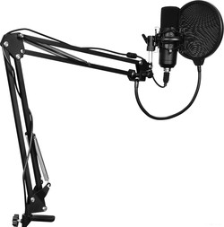 Микрофон SunWind SW-SM400G - фото