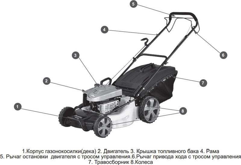 Колесная газонокосилка Champion LM5345BS