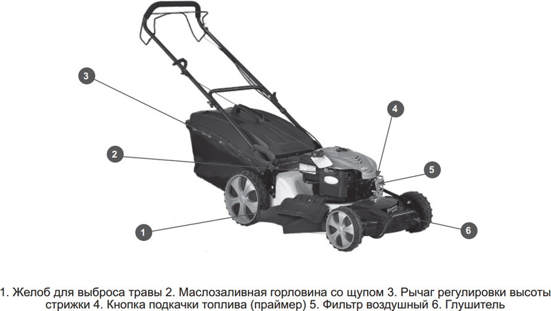 Колесная газонокосилка Champion LM5345BS