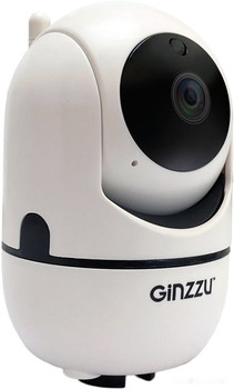 IP-камера Ginzzu HWD-2302A - фото