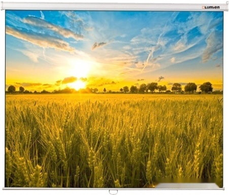 Проекционный экран Lumien Eco Picture 127x200 LEP-100122