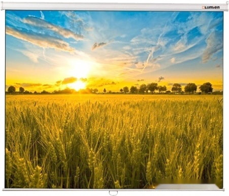 Проекционный экран Lumien Eco Picture 206x274 LEP-100115